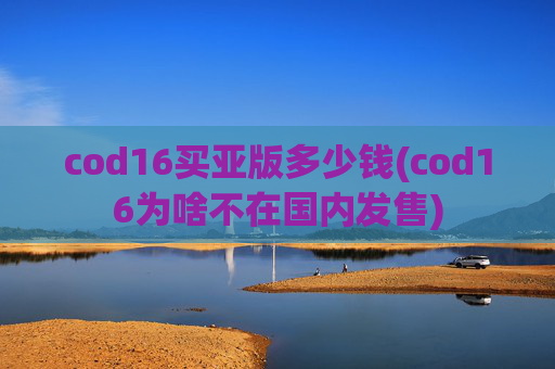cod16买亚版多少钱(cod16为啥不在国内发售)