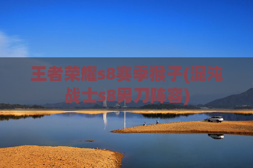 王者荣耀s8赛季猴子(混沌战士s8男刀阵容)