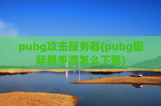 pubg攻击服务器(pubg国际服手游怎么下载)
