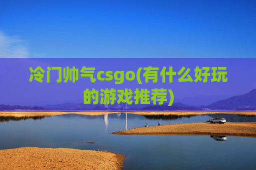 冷门帅气csgo(有什么好玩的游戏推荐)