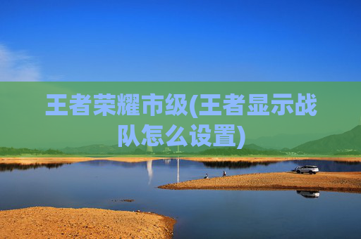 王者荣耀市级(王者显示战队怎么设置)