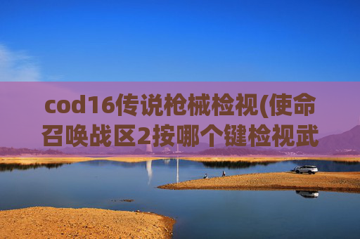 cod16传说枪械检视(使命召唤战区2按哪个键检视武器)