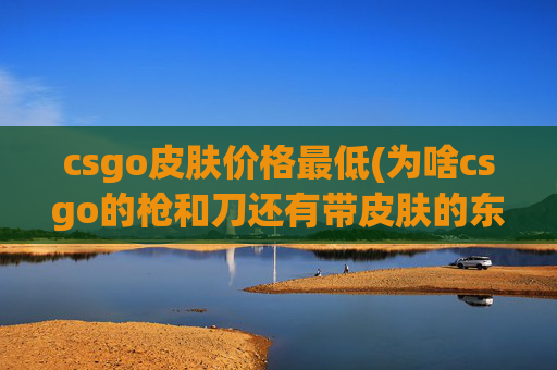 csgo皮肤价格最低(为啥csgo的枪和刀还有带皮肤的东西稍微好看一点的感觉都这么贵)