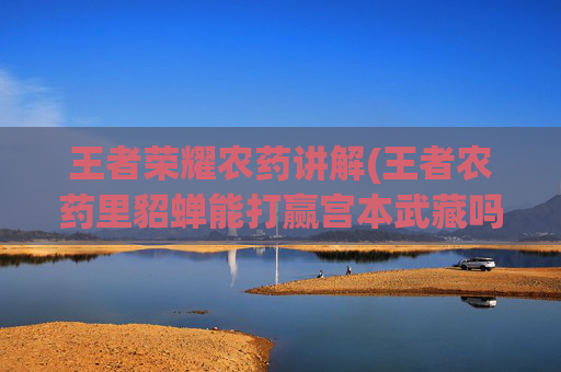 王者荣耀农药讲解(王者农药里貂蝉能打赢宫本武藏吗)