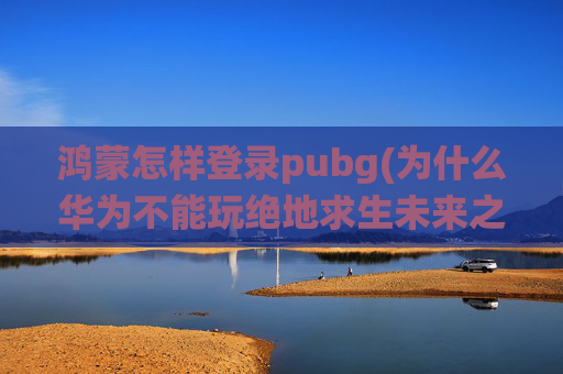 鸿蒙怎样登录pubg(为什么华为不能玩绝地求生未来之役)