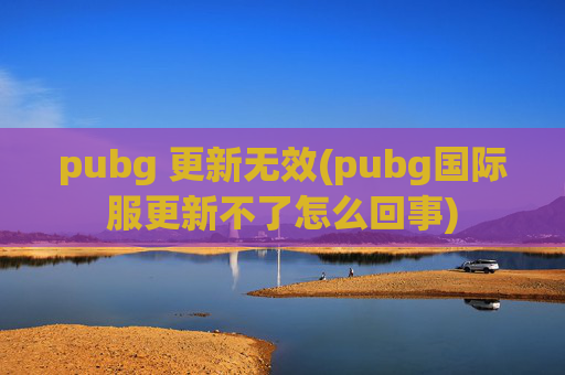 pubg 更新无效(pubg国际服更新不了怎么回事)