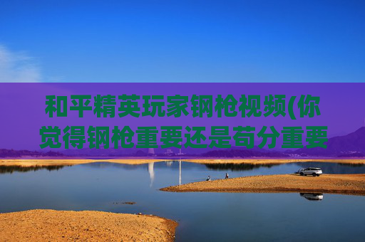 和平精英玩家钢枪视频(你觉得钢枪重要还是苟分重要)