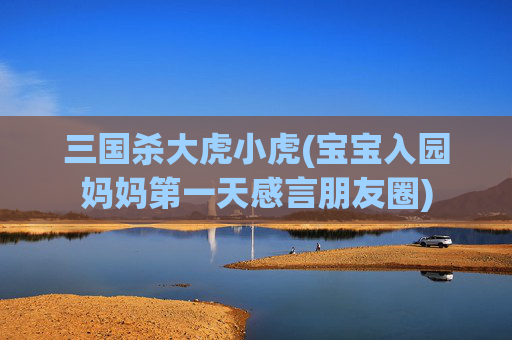 三国杀大虎小虎(宝宝入园妈妈第一天感言朋友圈)