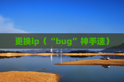 更换ip（“bug”神手速）