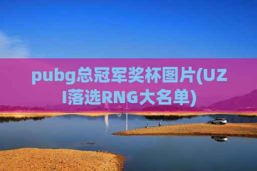 pubg总冠军奖杯图片(UZI落选RNG大名单)