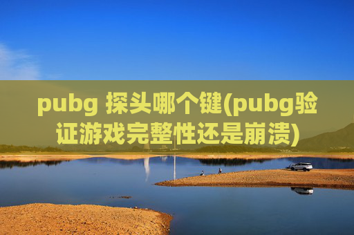 pubg 探头哪个键(pubg验证游戏完整性还是崩溃)