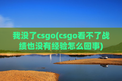 我没了csgo(csgo看不了战绩也没有经验怎么回事)