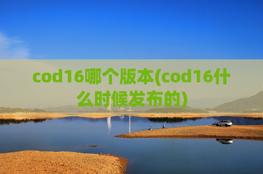 cod16哪个版本(cod16什么时候发布的)