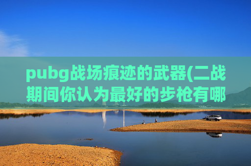 pubg战场痕迹的武器(二战期间你认为最好的步枪有哪些)