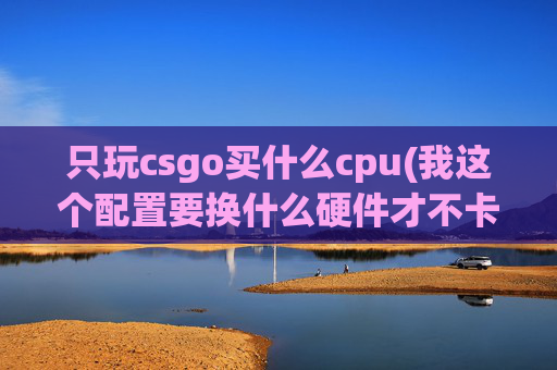 只玩csgo买什么cpu(我这个配置要换什么硬件才不卡呢)