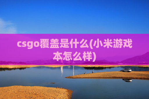 csgo覆盖是什么(小米游戏本怎么样)