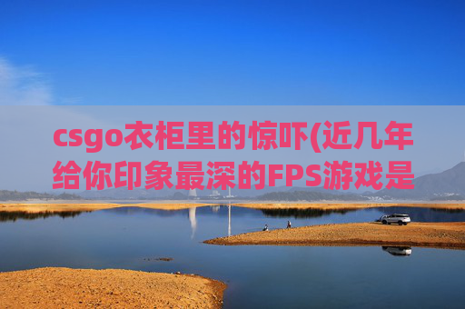 csgo衣柜里的惊吓(近几年给你印象最深的FPS游戏是什么)