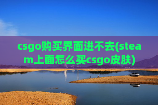 csgo购买界面进不去(steam上面怎么买csgo皮肤)