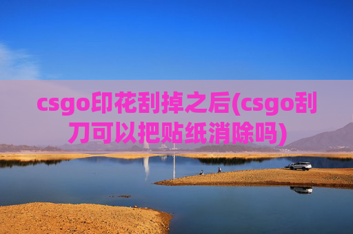 csgo印花刮掉之后(csgo刮刀可以把贴纸消除吗)
