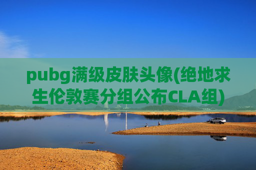 pubg满级皮肤头像(绝地求生伦敦赛分组公布CLA组)