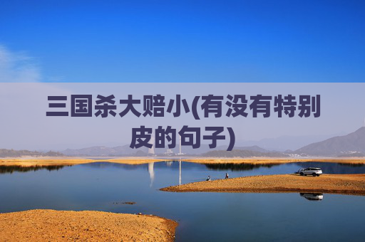 三国杀大赔小(有没有特别皮的句子)