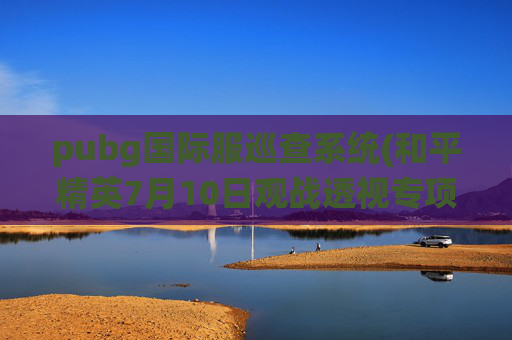 pubg国际服巡查系统(和平精英7月10日观战透视专项打击)
