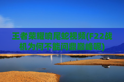 王者荣耀响尾蛇视频(F22战机为何不能问鼎巅峰呢)