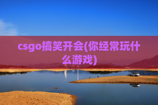 csgo搞笑开会(你经常玩什么游戏)