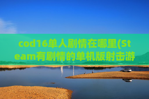 cod16单人剧情在哪里(Steam有剧情的单机版射击游戏请推荐一下谢谢)
