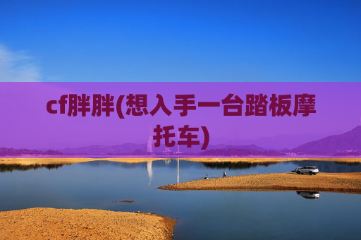 cf胖胖(想入手一台踏板摩托车)