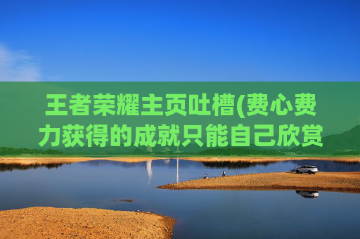 王者荣耀主页吐槽(费心费力获得的成就只能自己欣赏)