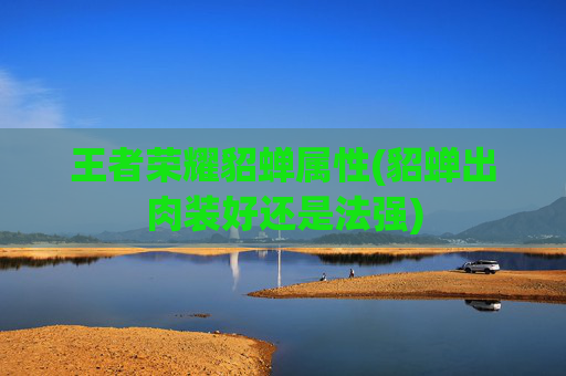 王者荣耀貂蝉属性(貂蝉出肉装好还是法强)