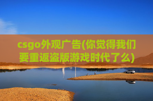 csgo外观广告(你觉得我们要重返盗版游戏时代了么)