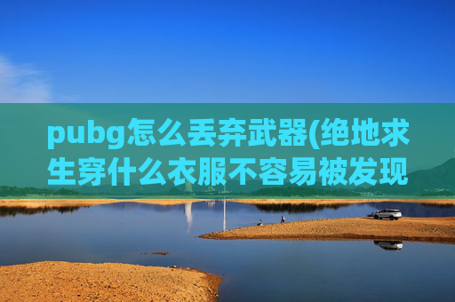 pubg怎么丢弃武器(绝地求生穿什么衣服不容易被发现)