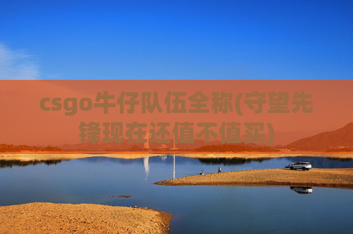 csgo牛仔队伍全称(守望先锋现在还值不值买)