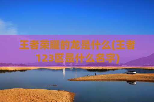 王者荣耀的龙是什么(王者123区是什么名字)