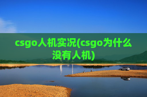 csgo人机实况(csgo为什么没有人机)