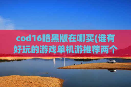 cod16暗黑版在哪买(谁有好玩的游戏单机游推荐两个)