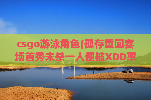 csgo游泳角色(孤存重回赛场首秀未杀一人便被XDD率领RNG淘汰)