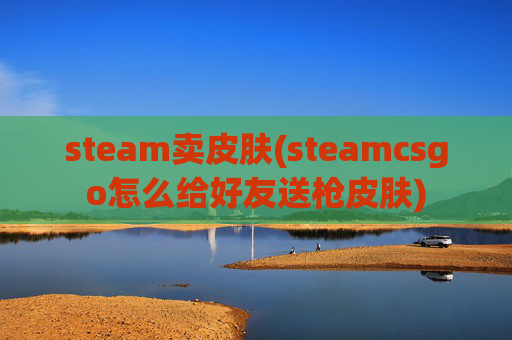 steam卖皮肤(steamcsgo怎么给好友送枪皮肤)