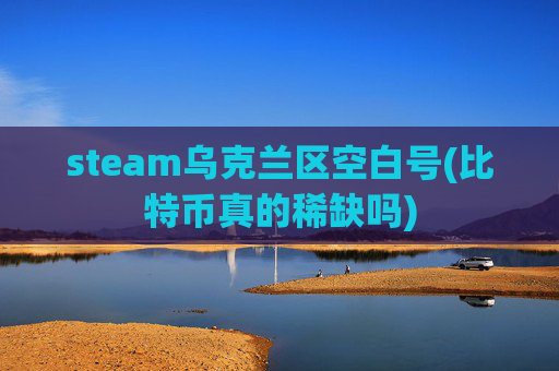 steam乌克兰区空白号(比特币真的稀缺吗)