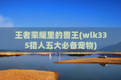 王者荣耀里的兽王(wlk335猎人五大必备宠物)