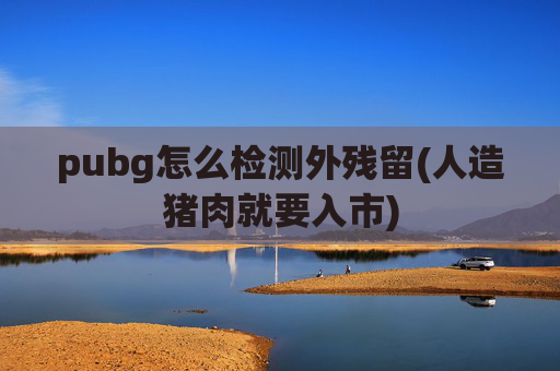 pubg怎么检测外残留(人造猪肉就要入市)