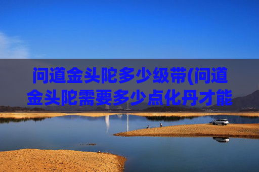 问道金头陀多少级带(问道金头陀需要多少点化丹才能点化完成)