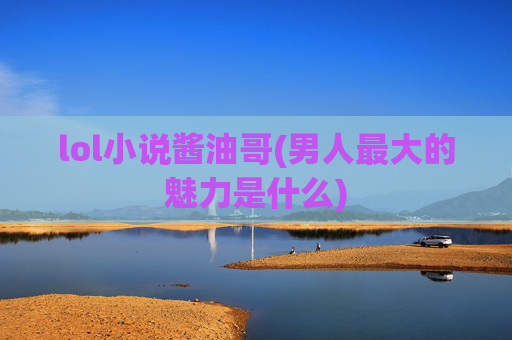 lol小说酱油哥(男人最大的魅力是什么)