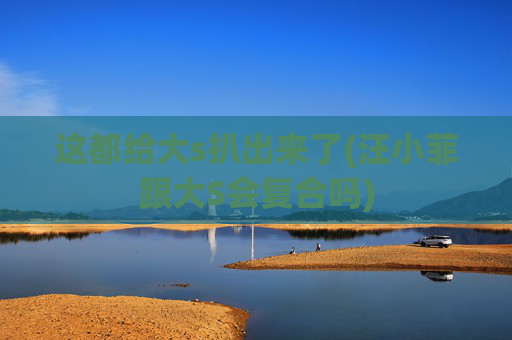 这都给大s扒出来了(汪小菲跟大S会复合吗)