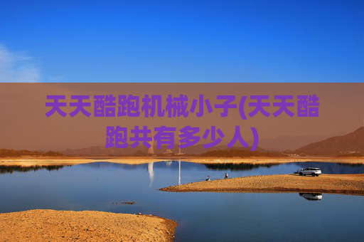 天天酷跑机械小子(天天酷跑共有多少人)