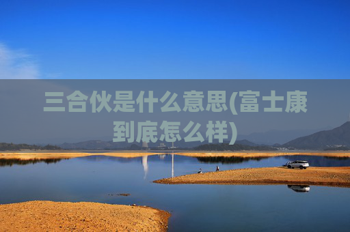 三合伙是什么意思(富士康到底怎么样)