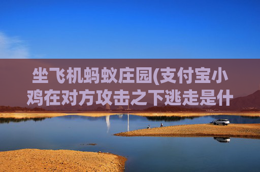 坐飞机蚂蚁庄园(支付宝小鸡在对方攻击之下逃走是什么意思)