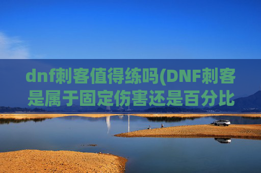dnf刺客值得练吗(DNF刺客是属于固定伤害还是百分比)